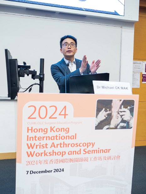 HK Wrist Course 2024- Seminar  - 87 of 257